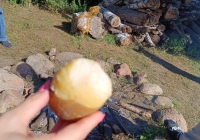 dzien-pieczonego-ziemniaka-5