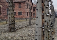Muzeum-Auschwitz-Birkenau-3