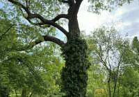 ogrod-botaniczny-2