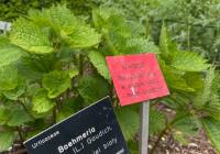 ogrod-botaniczny-5