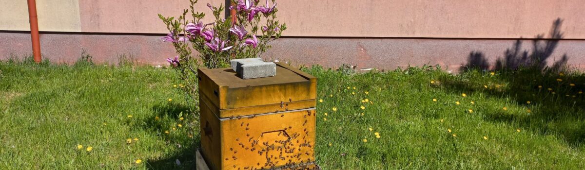 Pszczoły w MOW